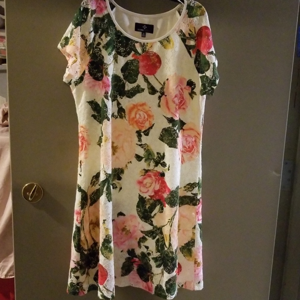Ladies knee length dress